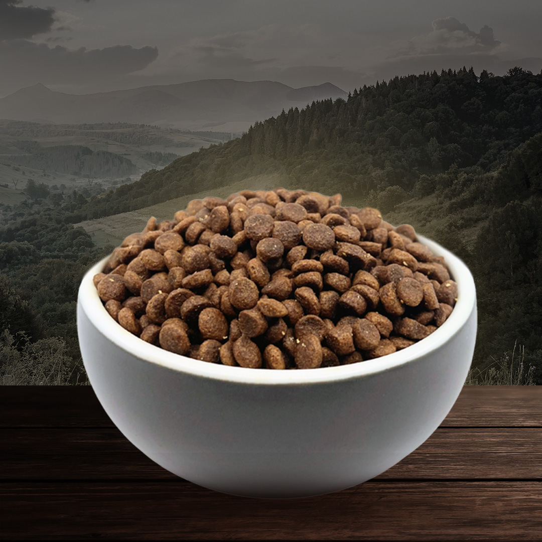 RAW COATED KIBBLE