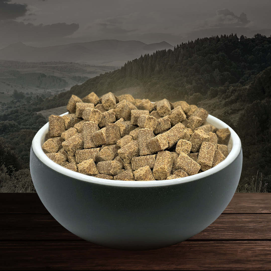 RAW COATED FRESH-PRESSED KIBBLE